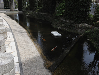 ビジネスシーンに近接しながらも、自分だけの静かな時間を見つけられる場所